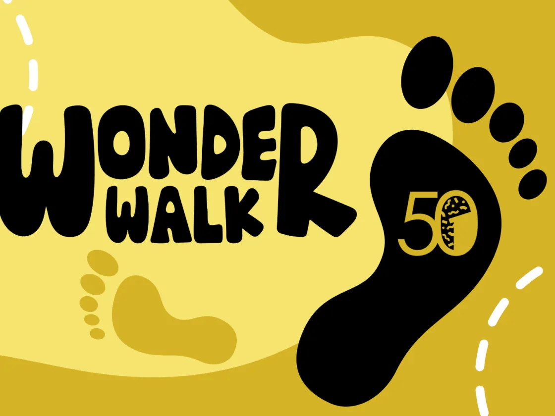 Wonder Walk Hero